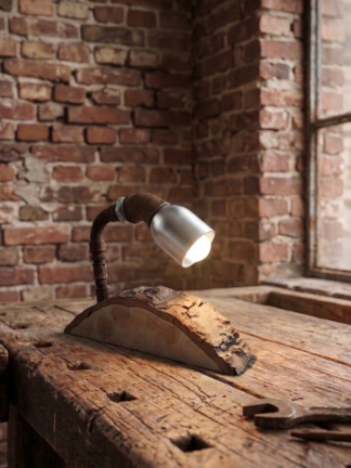 Cobra Lampe (1/3)